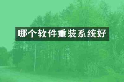 哪个软件重装系统好