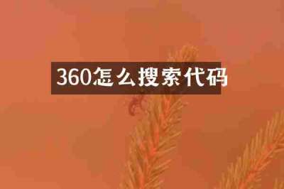 360怎么搜索代码