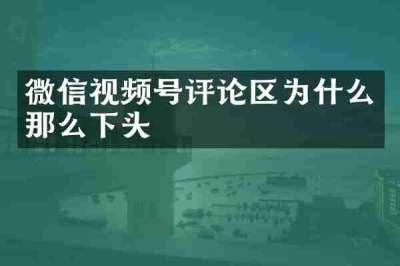 微信视频号评论区为什么那么下头