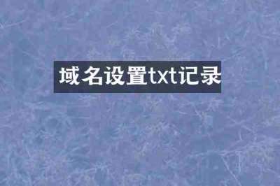 域名设置txt记录