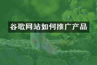 谷歌网站如何推广产品