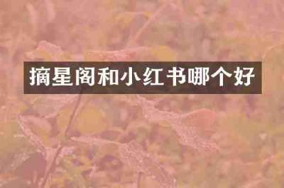 摘星阁和小红书哪个好