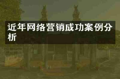 近年网络营销成功案例分析