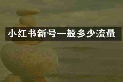 小红书新号一般多少流量