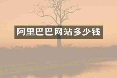阿里巴巴网站多少钱