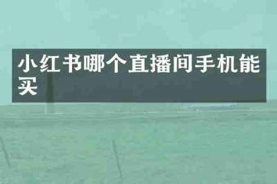 小红书哪个直播间手机能买