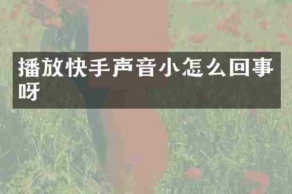 播放快手声音小怎么回事呀