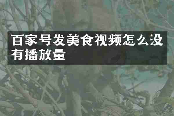 百家号发美食视频怎么没有播放量