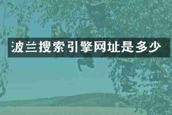 波兰搜索引擎网址是多少