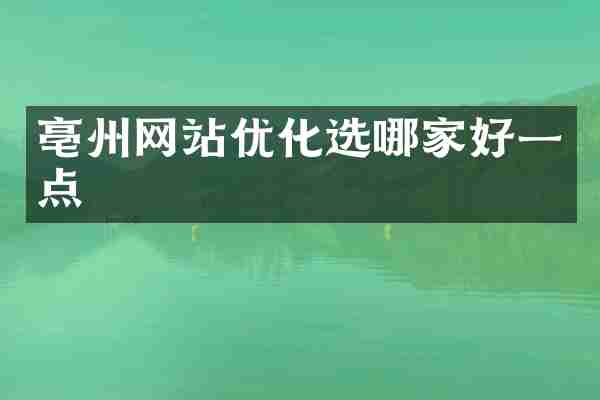 亳州网站优化选哪家好一点