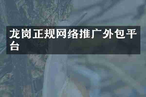 龙岗正规网络推广外包平台