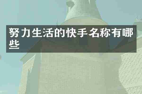 努力生活的快手名称有哪些