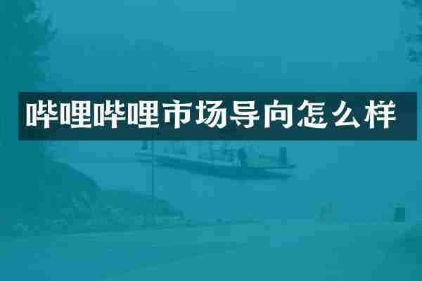 哔哩哔哩市场导向怎么样