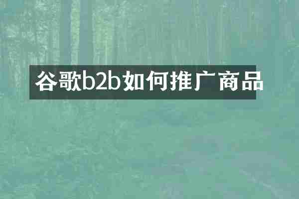 谷歌b2b如何推广商品