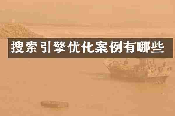 搜索引擎优化案例有哪些