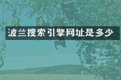 波兰搜索引擎网址是多少