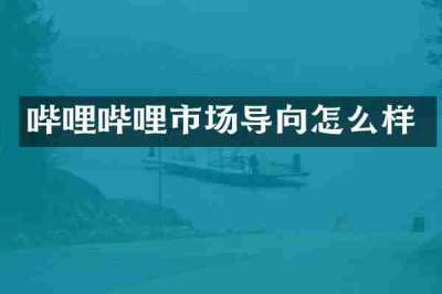 哔哩哔哩市场导向怎么样