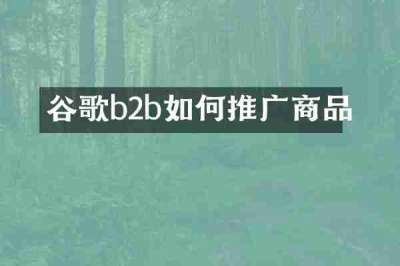 谷歌b2b如何推广商品