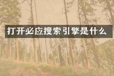 打开必应搜索引擎是什么