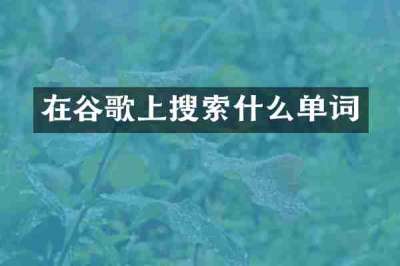 在谷歌上搜索什么单词