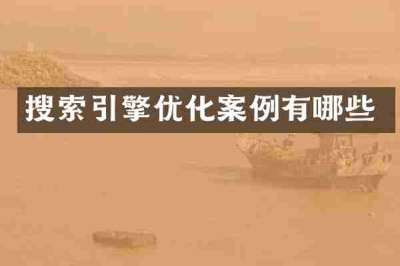 搜索引擎优化案例有哪些