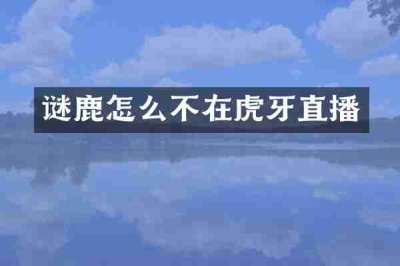 谜鹿怎么不在虎牙直播