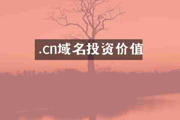 .cn域名投资价值