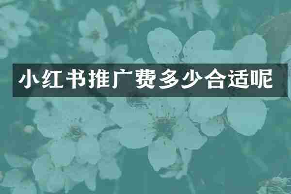 小红书推广费多少合适呢