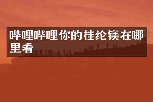 哔哩哔哩你的桂纶镁在哪里看