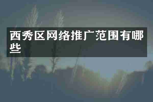 西秀区网络推广范围有哪些