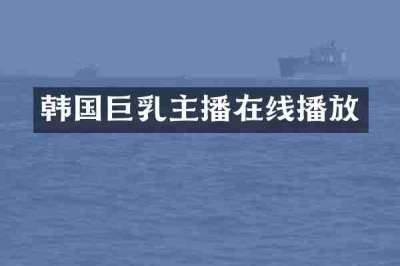 韩国巨乳主播在线播放