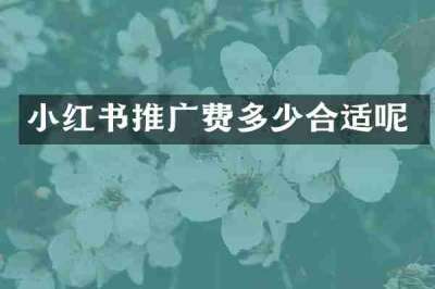小红书推广费多少合适呢