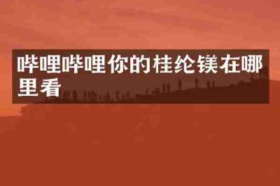 哔哩哔哩你的桂纶镁在哪里看