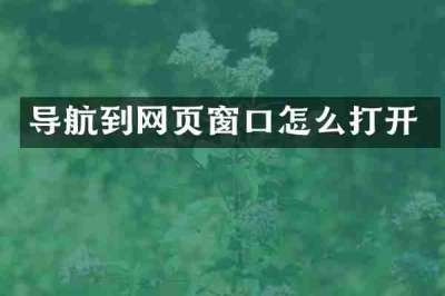 导航到网页窗口怎么打开