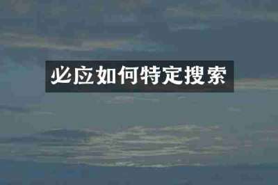 必应如何特定搜索