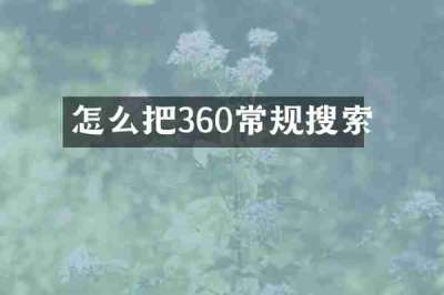 怎么把360常规搜索
