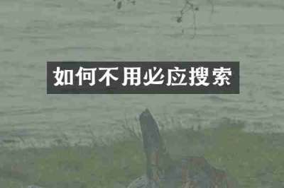 如何不用必应搜索