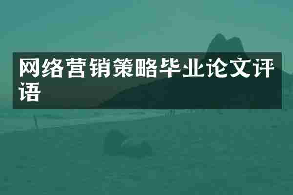 网络营销策略毕业论文评语