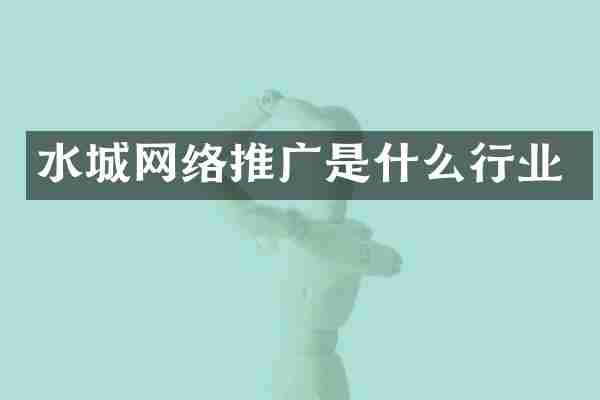 水城网络推广是什么行业