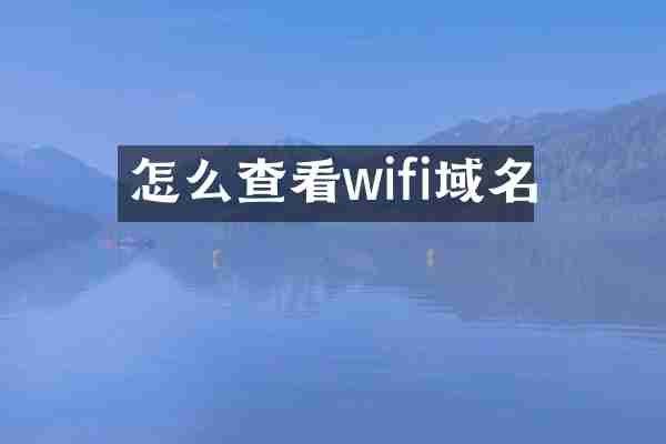 怎么查看wifi域名
