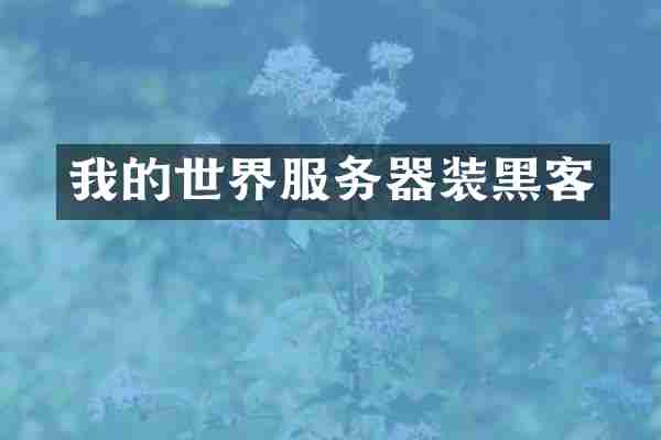 我的世界服务器装黑客