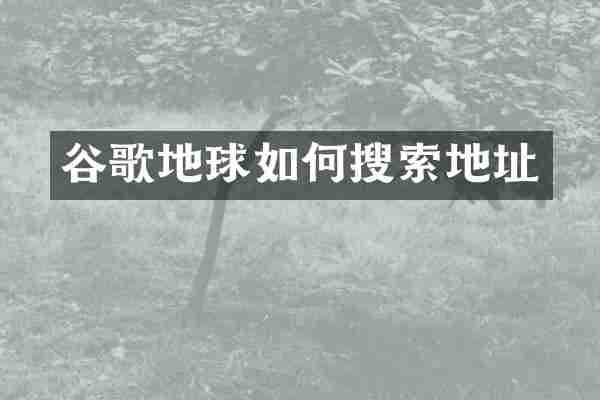 谷歌地球如何搜索地址