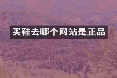 买鞋去哪个网站是正品