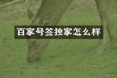 百家号签独家怎么样