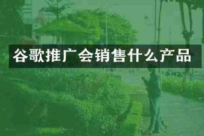 谷歌推广会销售什么产品