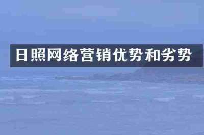 日照网络营销优势和劣势