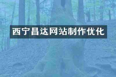 西宁昌达网站制作优化
