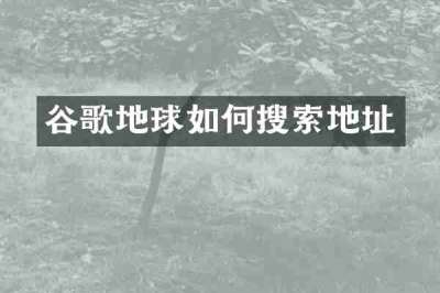 谷歌地球如何搜索地址