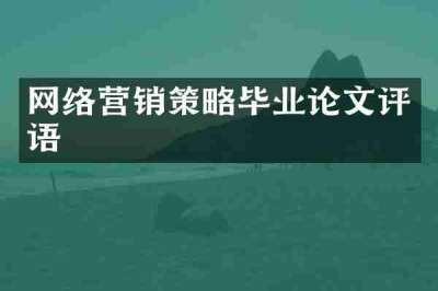 网络营销策略毕业论文评语