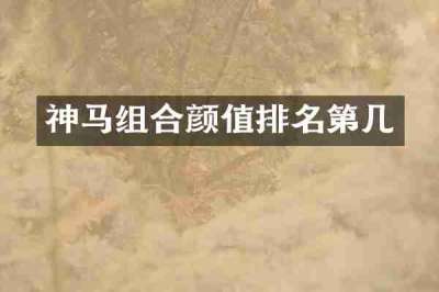 神马组合颜值排名第几
